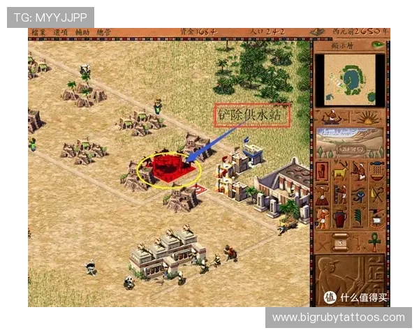 畅玩AG贵宾厅游戏账号的最佳策略与玩法心得分享