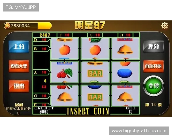 多款水果机游戏电脑版免费下载，满足不同玩家的娱乐需求