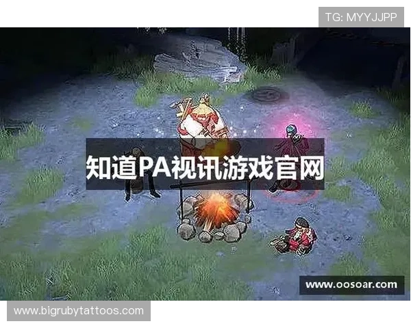 pa游戏视讯网站免费资源分享，丰富的游戏视频内容满足不同玩家的观看需求